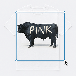 Applying a bull as an image to your t-shirt